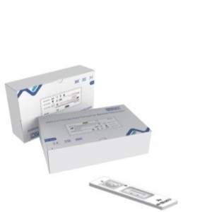 SARS-COV-2 Antigen Rapid Test Kit (zeitaufgelöste Fluoreszenz)