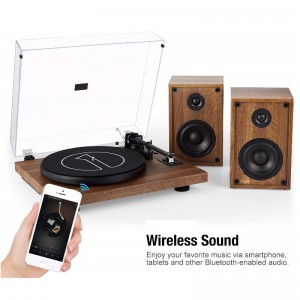 FB-TT004 High-End-Plattenspieler