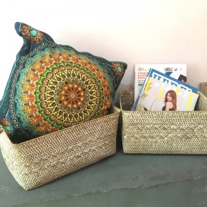 Seetangsaufbewahrungsbox.