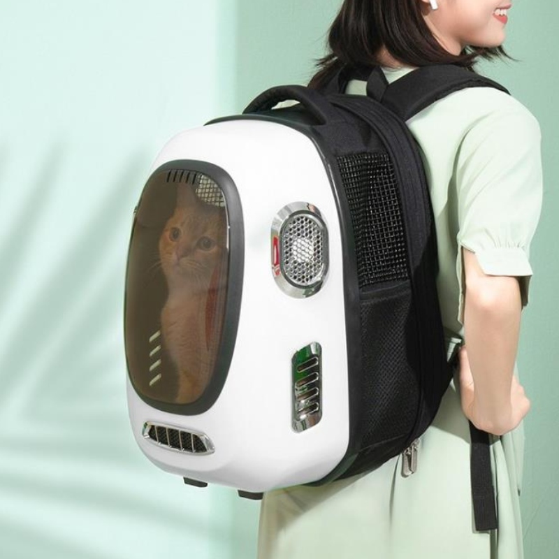 Große Space Smart Cat Rucksack-Unterstützung der Power Bank