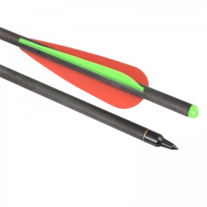 Elong Outdoor 110038-SLD 22inch ID7.62mm Carbon Bolt Bogenschießen Armbrustziel Target