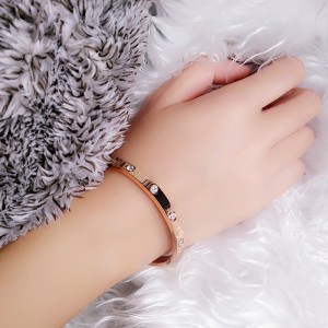 Frisches kaltes Luft-Titan-Stahl-Armband