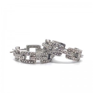 Europäische und amerikanische Mode-Edelstahl-Zirkon-Ohrringe (nicht verblassen)