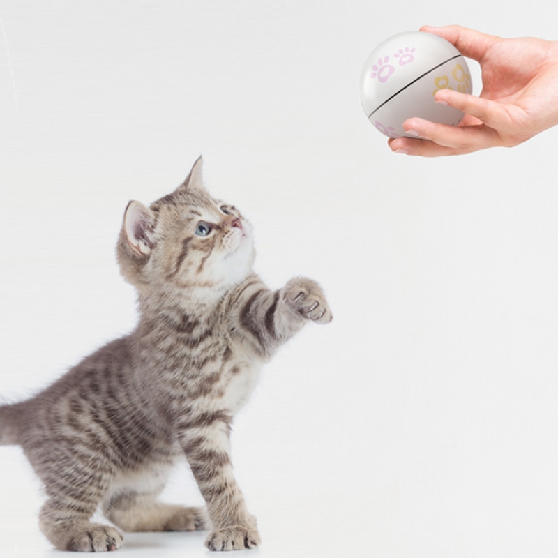 Interaktive Laserkatze Ballspielzeug