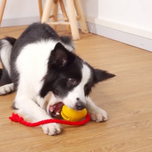 Gummi-undichtendes Snack-Hundespielzeug
