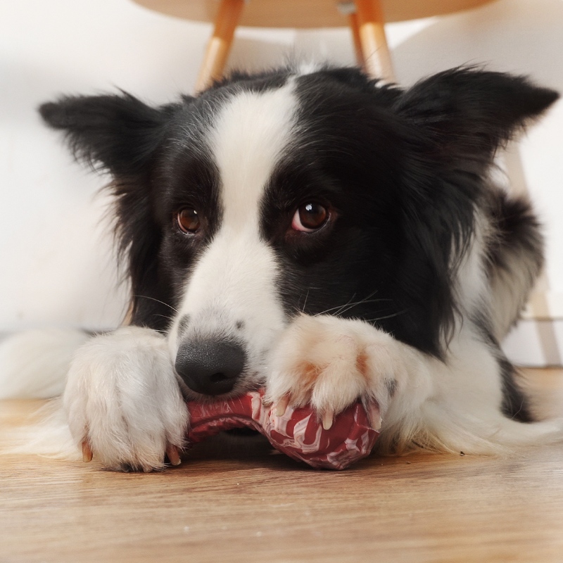 Super Kauknochen-Hundespielzeug