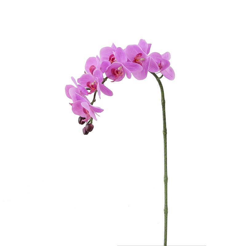 Hochwertige echte berührte Single-Zweig-künstliche Orchidee zum Verkauf