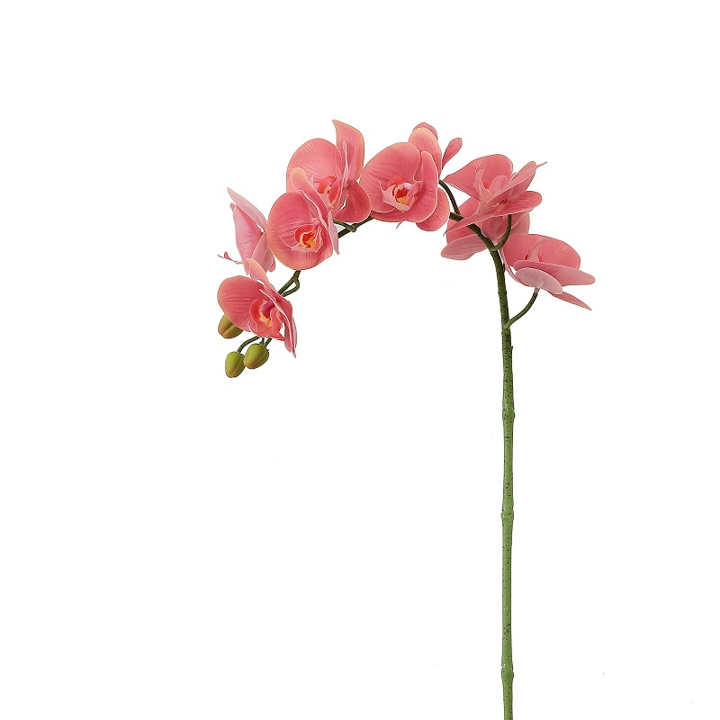 Hochwertige echte berührte Single-Zweig-künstliche Orchidee zum Verkauf