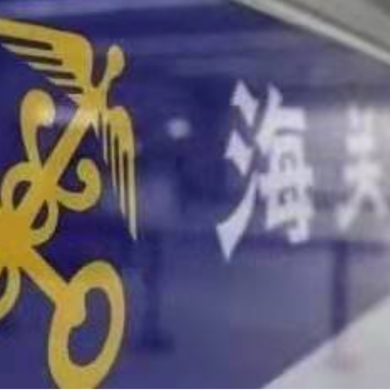 Der Zollverkehr zeigt einen Trend der Überlastung