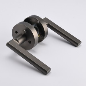 R7501 Datenschutz Türhebel schlüssellloser Innentürgriff Schloss