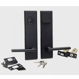 6201 Langes Plattentür Schloss Röhrenhebel -Set, moderne hochwertige Zinklegierung Griffs Sets für Haustür und Außentür