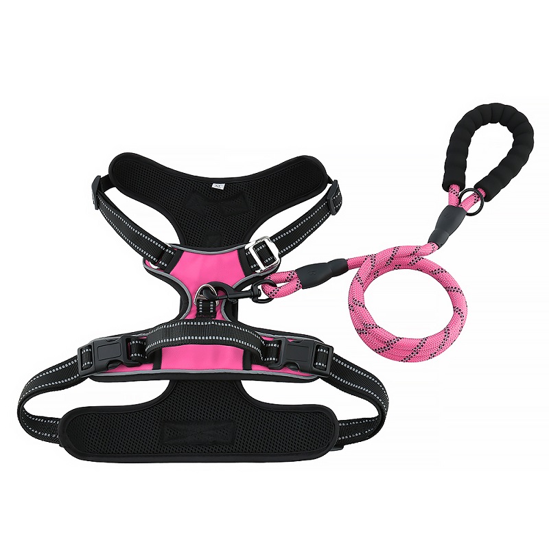 Benutzerdefinierte Hundeweste Reflektierende Nylon Große Schnalle Umkehrbare Hundegeschirr mit Leine