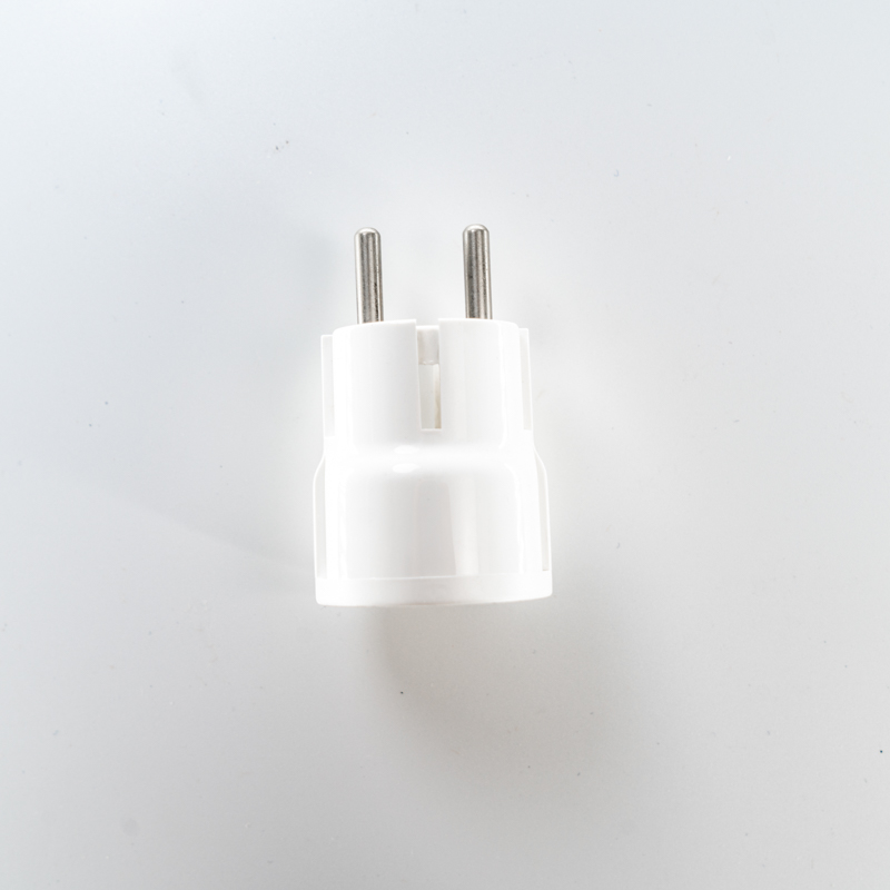 Elektrische Stecker Typ 1