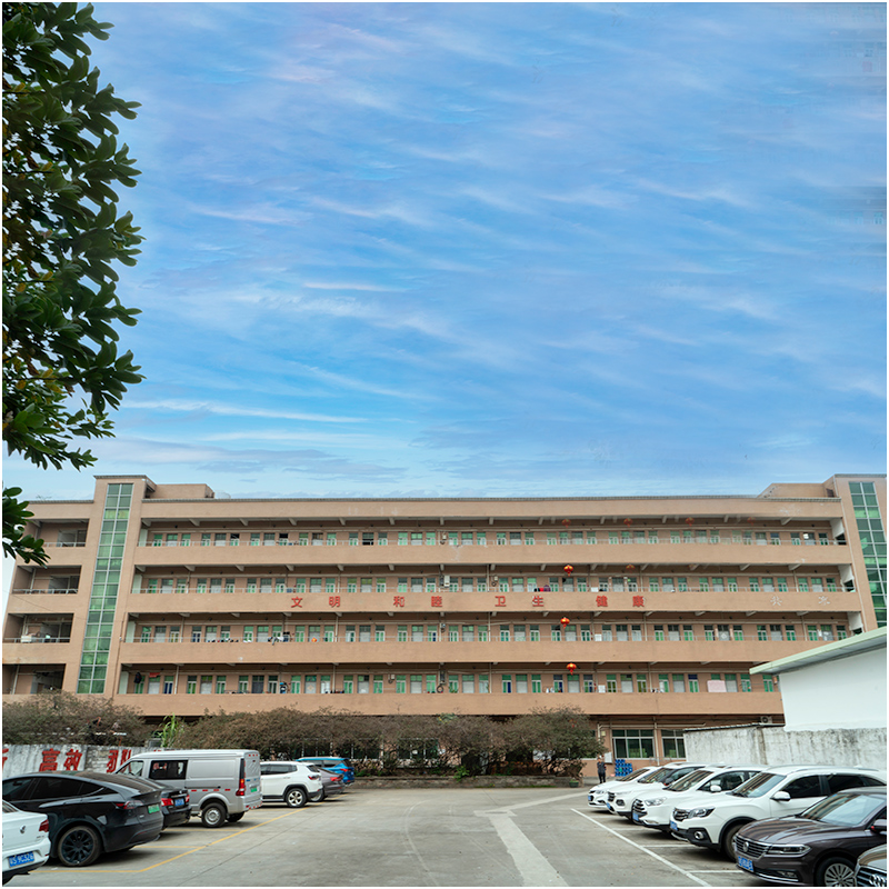 Wie sieht ein Spritzgussfabrik in Ihren Augen aus?