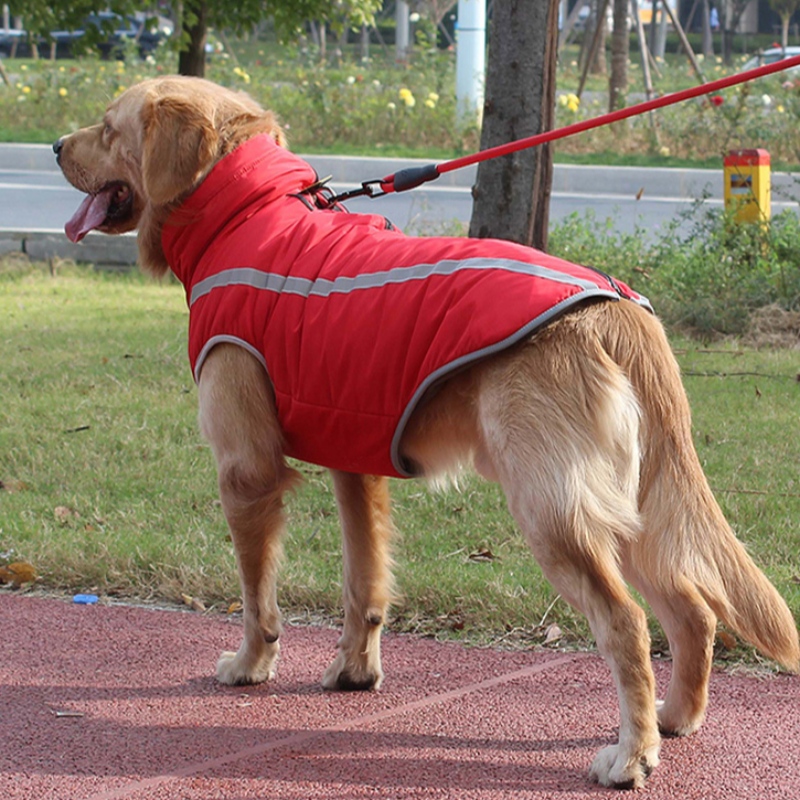 Amazon Top-Verkäufer personalisierte Hunde-Hunde-Hundekleidung reflektierender Atem für mittel- und große Hunde