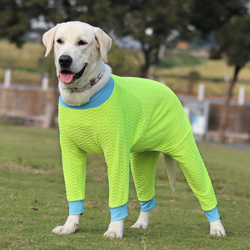 Wunderschöner und langlebiger Welpen-Brustgurt, Hunde-Brustgurt, Hundebekleidung in erschwinglichen Preis