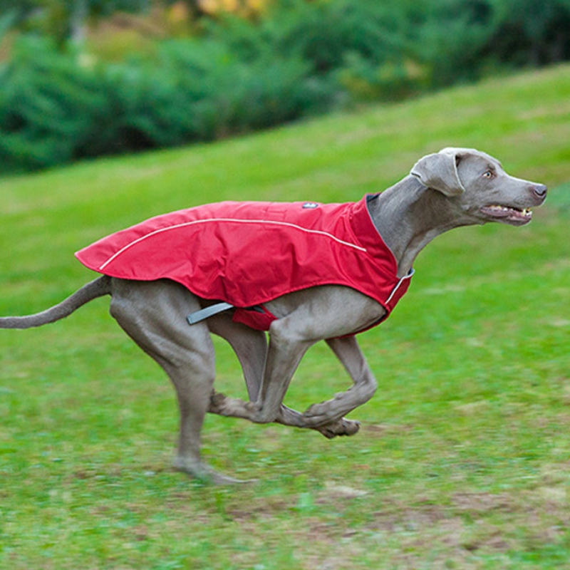 Klassischer stil reflektierender hund mantel wasserdicht einstellbar Winterhundjacke reversible leichte