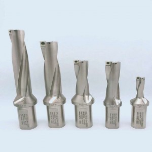 3d U Bohrer Einfügung SPMG