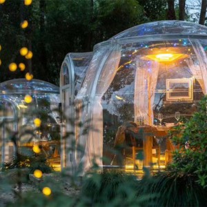 3,3 Meter wirtschaftliche transparente Kuppelzelt Geodätische Camping -Dome -Zelt im Freien für Resorthotel, Camping, Outdoor -Aktivitäten