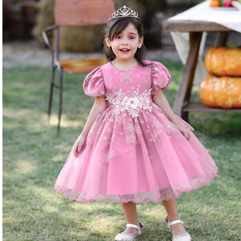 Baige applizierte kurze Ärmel Neues Design Babymädchen Kleid Partykleid für Kinder Mädchen
