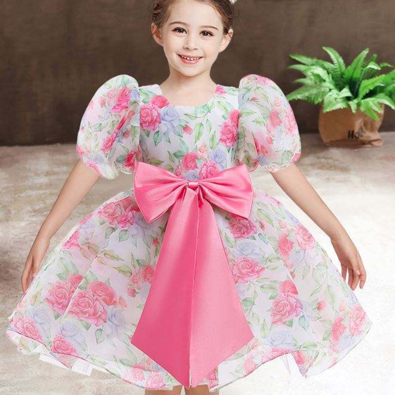 Baigeneue Mode Hochzeitsfeier Prinzessin Kleinkind Baby Mädchen Kleidung Kinder Baby Mädchen Kleider
