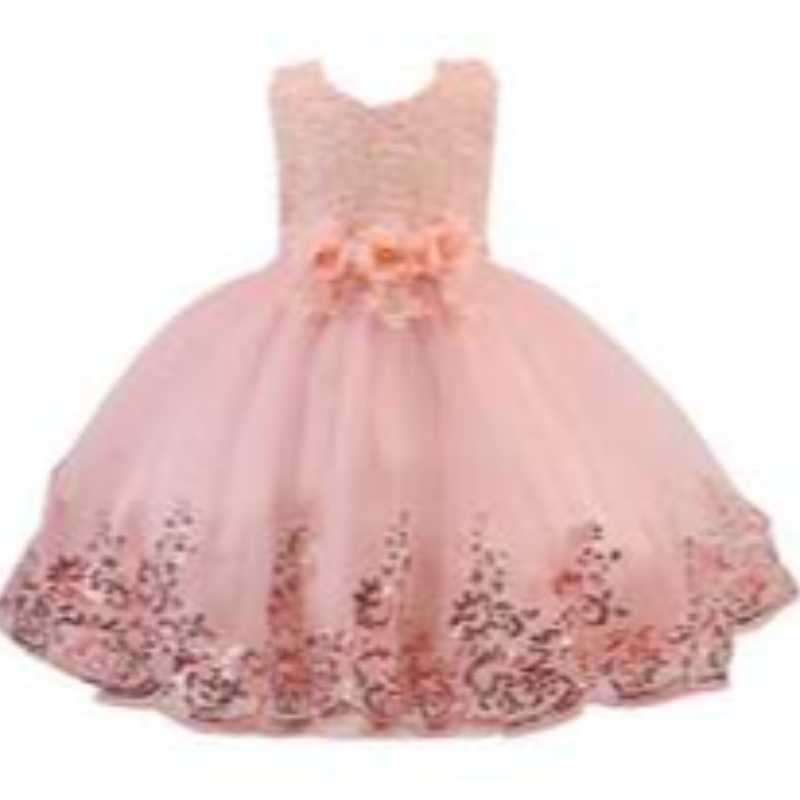 Großhandel Kinder Party Ballkleid besondere Anlässe Blumen Baby Girl Brautkleider für Kinder