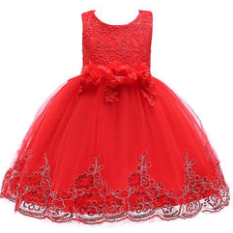 Großhandel Kinder Party Ballkleid besondere Anlässe Blumen Baby Girl Brautkleider für Kinder