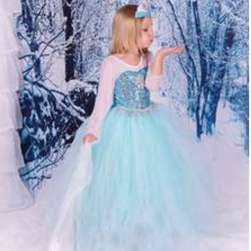 Baige TV&movie Elsa Anna Girl Party Performance Kleider Halloween Cosplay -Kleider Kostüme