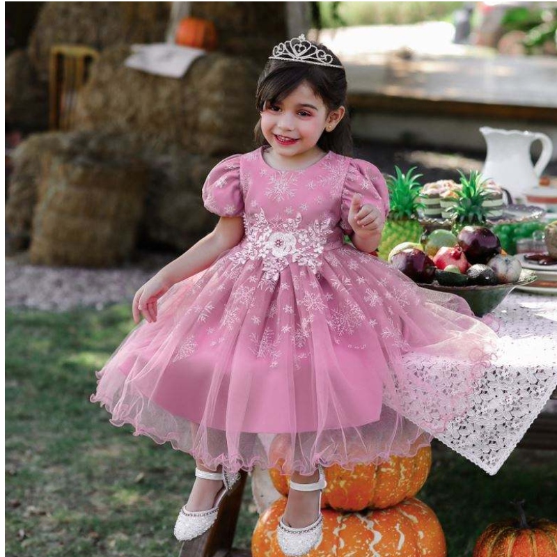 Baige Kinder Party Hochzeitsbrock Mädchen Geburtstagskleid Elegante Kinderkleid Prinzessin Schneeflocken Ballkleid