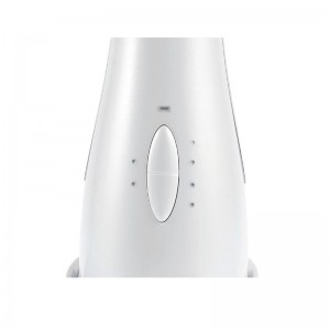 ELEKTRISCHE GESICHTSMASSAGE