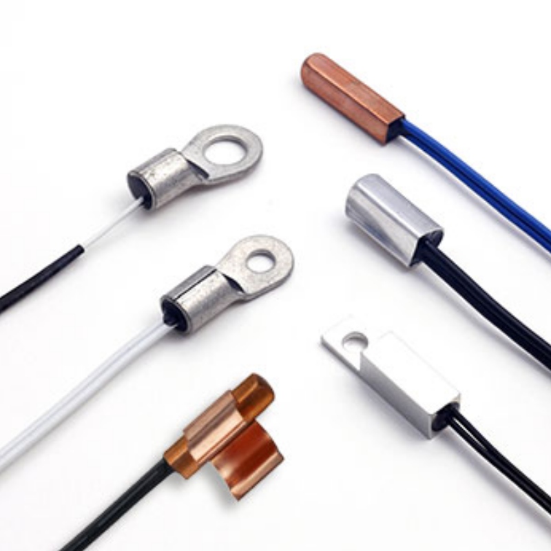 Oberflächentemperatur -Erfassungs -Thermistor -Sonden -Lug -Sensor -CWF -Serie