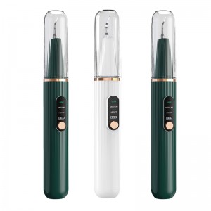 Home-Use Visualisierung Ultraschall zahnärztlicher Calculus-Reiniger, eingebaute Hochdefinitionskamera und LED-Licht mit 3 Modi der Reinigungszähne