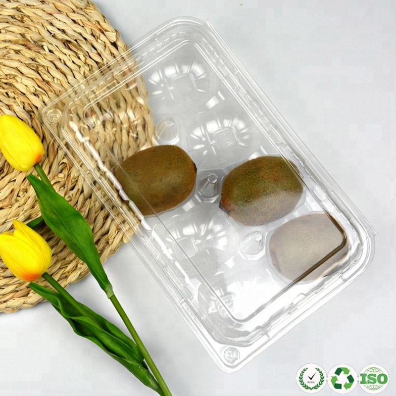 Nahrungsmittelqualität atmungsaktiven klaren Plastikfruchtbehälter für Kiwi