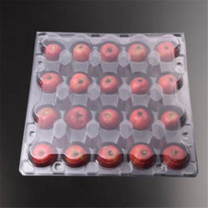 Haustier Transparent Plastik Clamshell Fruchtverpackungsschachtel klarer Obstbehälter