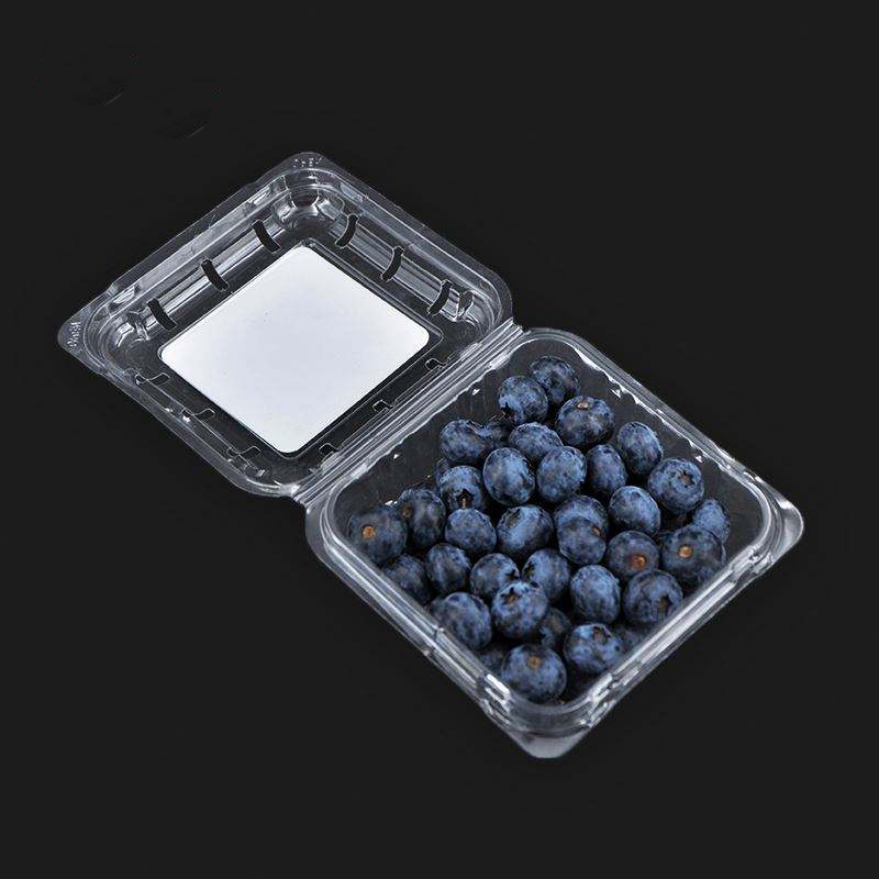 125G Großhandel Transparent Clamshell Blaubeer Clamshell -Verpackung Fruchtbehälter
