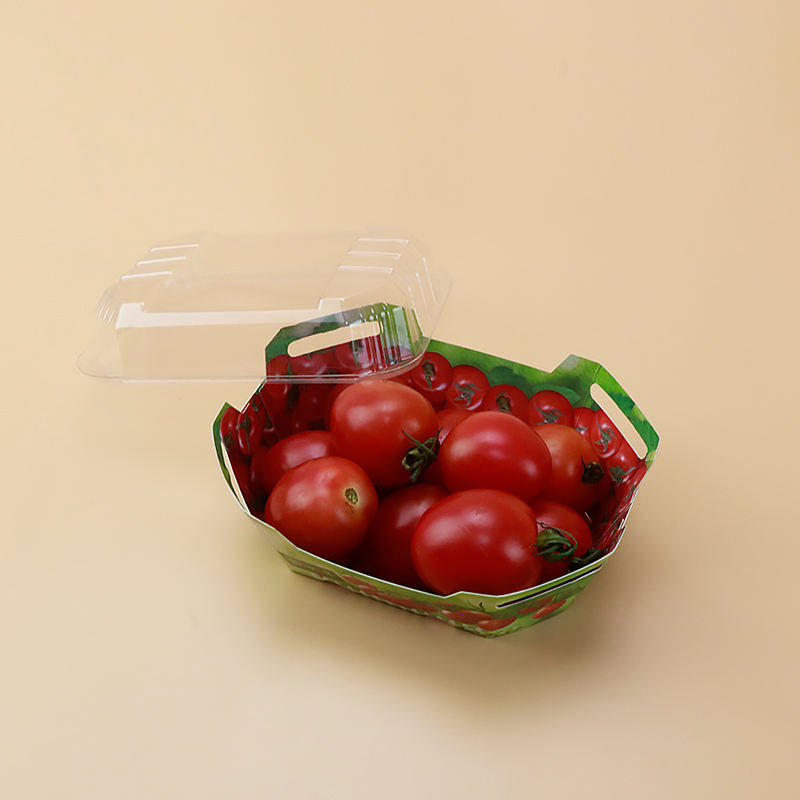 Benutzerdefinierte Plastikkarton für Obstpunnetverpackungsbehälter mit Deckel