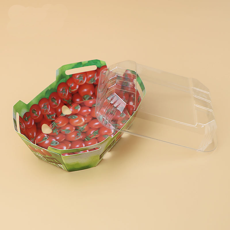 Benutzerdefinierte Plastikkarton für Obstpunnetverpackungsbehälter mit Deckel