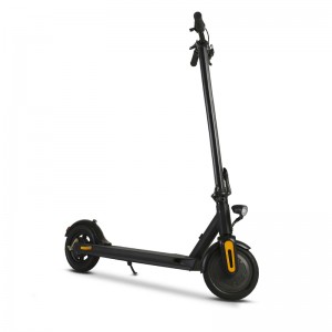H3- 8,5 Zoll Elektrisch Scooter/Privates Design