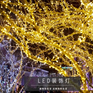 LED -Weihnachtslichter wasserdichte Außenmärchen für Weihnachten Neujahr Hochzeitsschnur Lichter Dekor Dekor