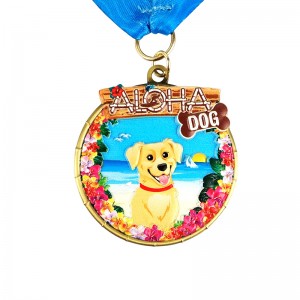 Medaillen Halo -Medaille maßgeschneiderte Halo -Infinite Medaillen