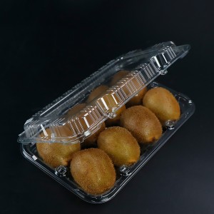 Kiwi Box (acht Kiwis) 245*160*55 mm Hgf-018