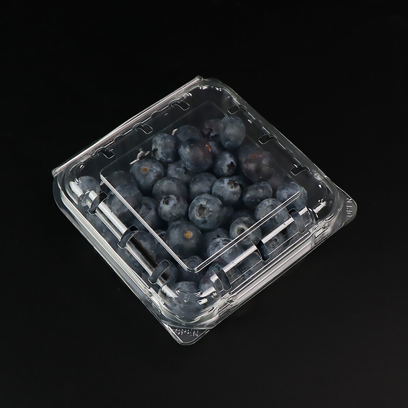 Blueberry Box Obstbox mit Deckel 103*108*42 mm Hgf-125b