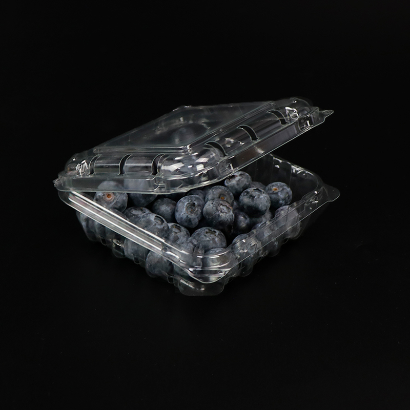 Blueberry Box Obstbox mit Deckel 103*108*42 mm Hgf-125b