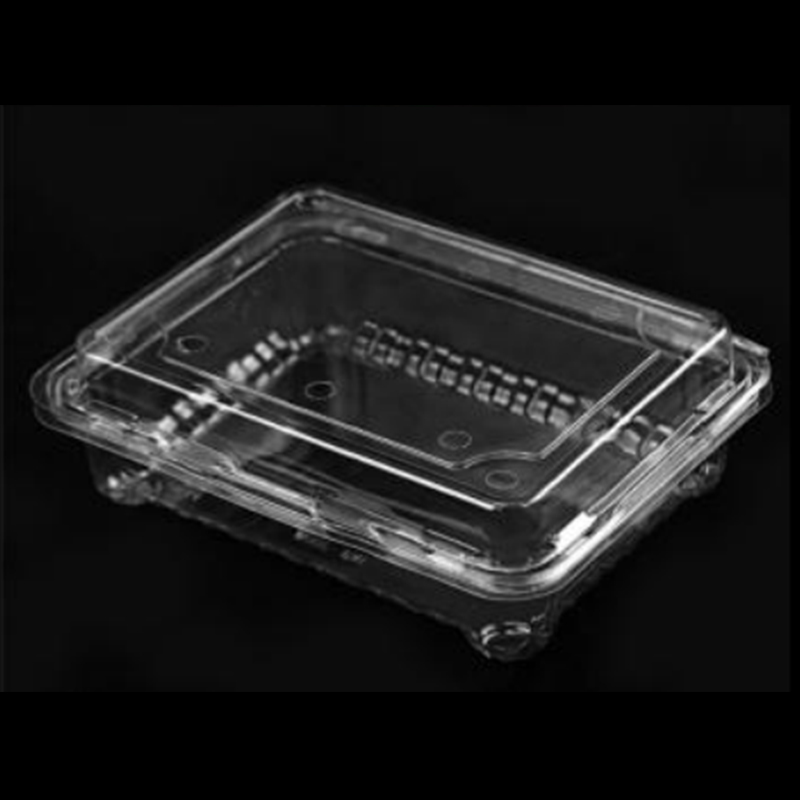 Obstbox mit Deckel 175*135*55 mm Hgf-300m