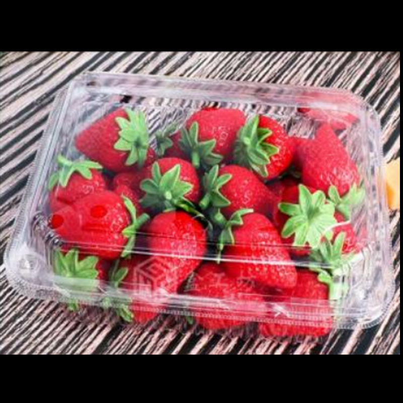 Obstbox mit Deckel 175*135*55 mm Hgf-300b