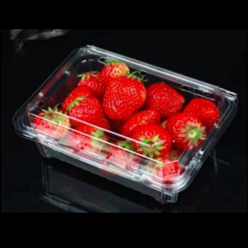 Obstbox mit Deckel 175*137*75 mm Hgf-500m