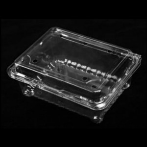 Obstbox mit Deckel 175*137*75 mm Hgf-500m