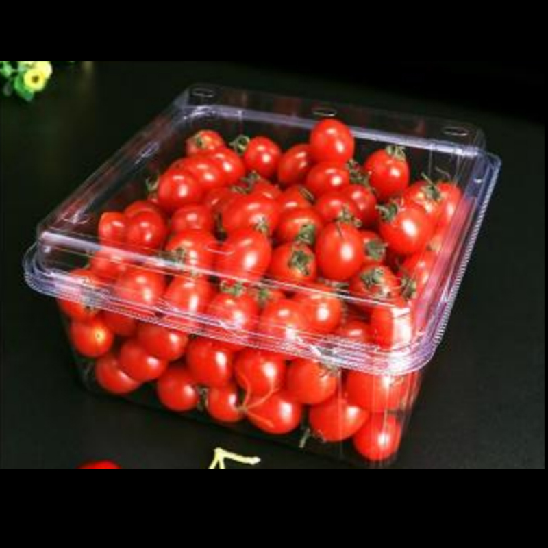 Obstbox mit Deckel 175*170*75 mm Hgf-850g
