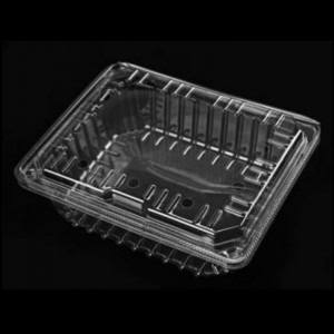 Obstbox mit Deckel 225*185*80 mm Hgf-1000c