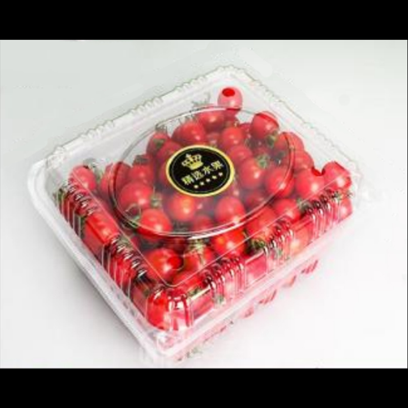 Obstbox mit Deckel 200*170*95 mm Hgf-750h